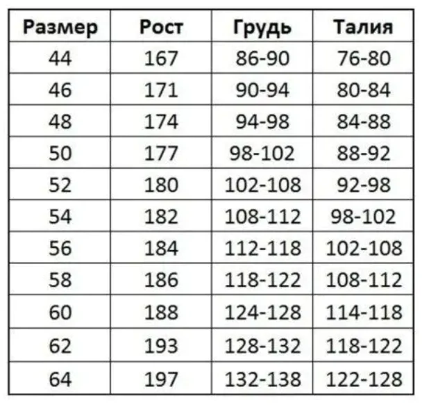 Робочі шорти ArtMaster EUROCLASSIC Сірі вставки