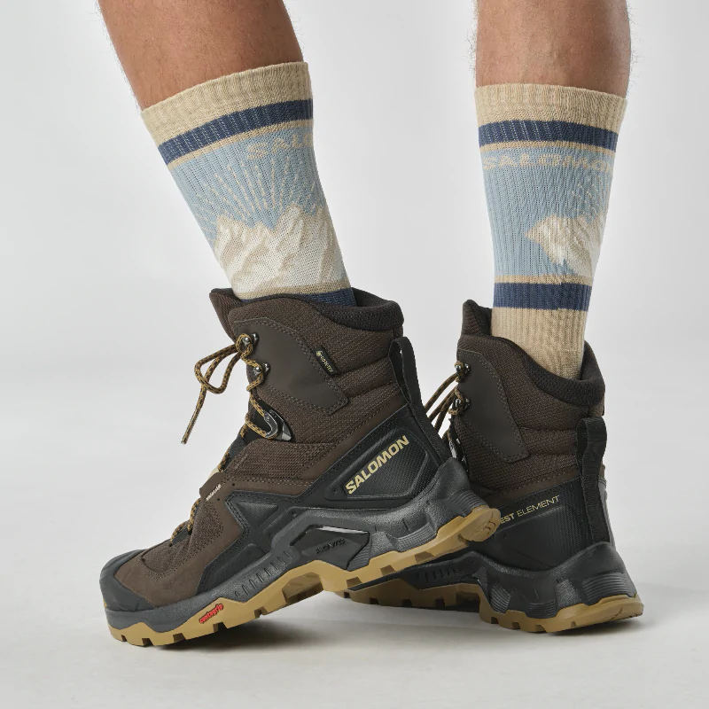 Ботинки туристические SALOMON Quest Element GTX. Коричневый