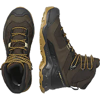 Ботинки туристические SALOMON Quest Element GTX. Коричневый