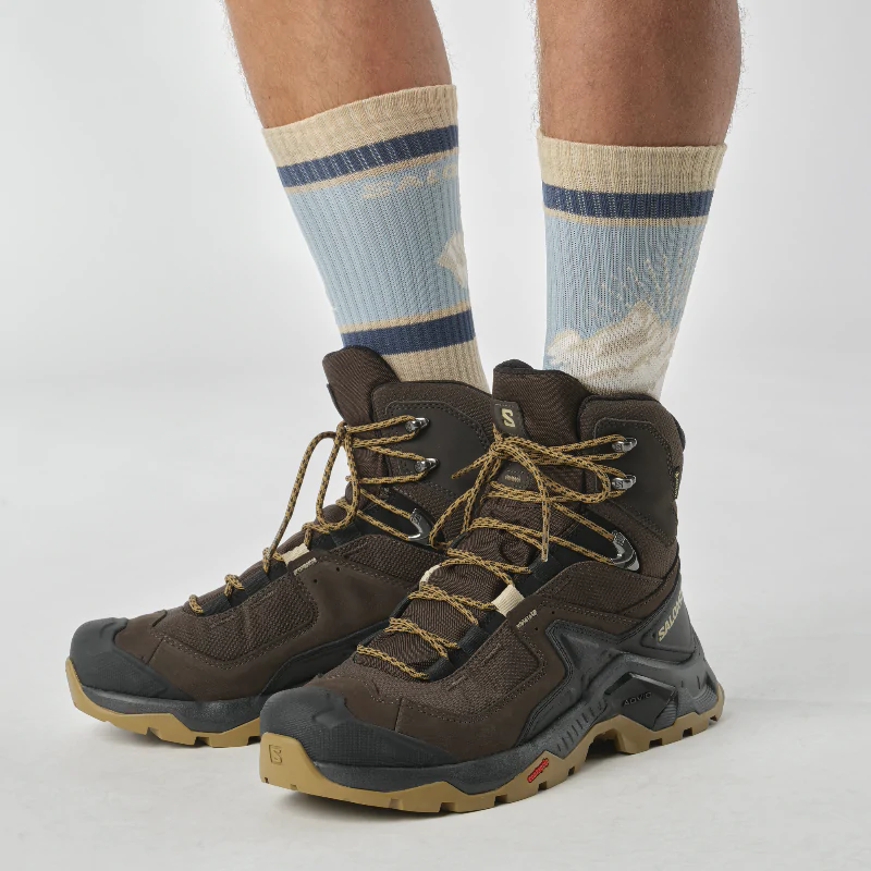 Ботинки туристические SALOMON Quest Element GTX. Коричневый