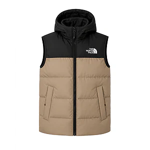 Жилетка чоловіча The North Face. Бежевий
