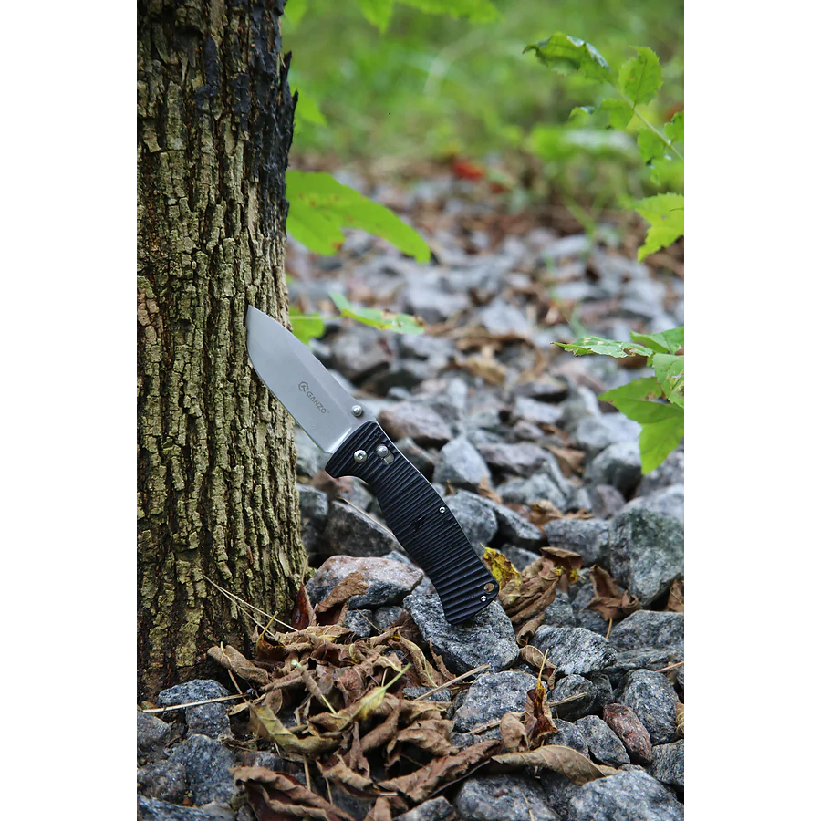 Нож складной Ganzo G720-B черный