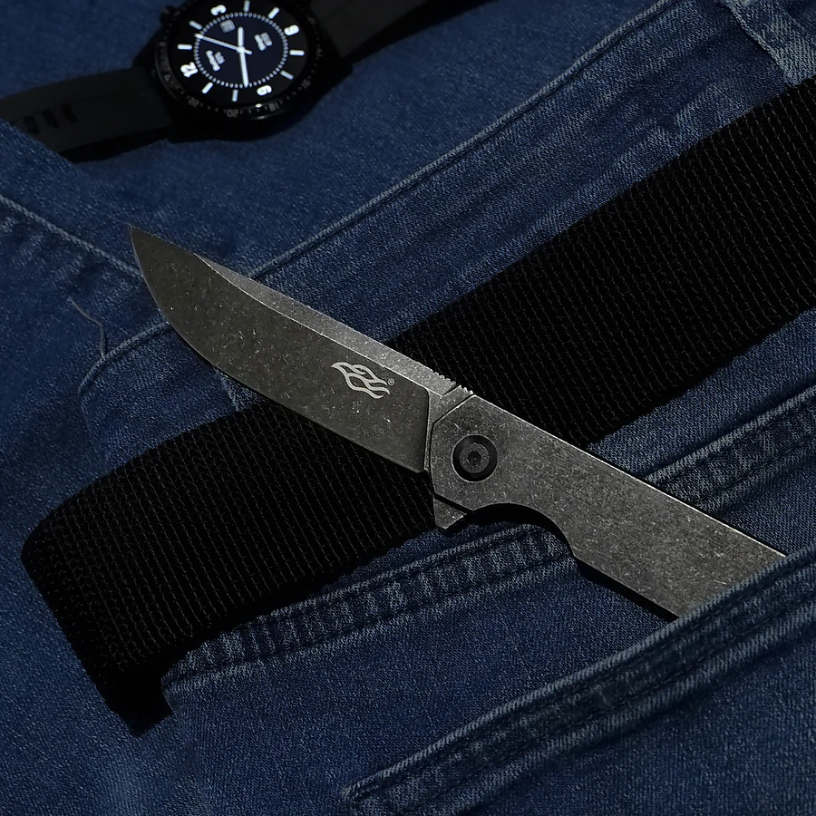 Ніж складаний Ganzo Firebird FH13SS