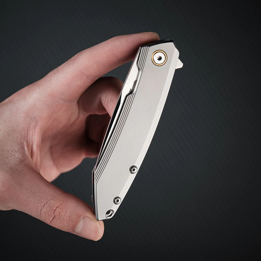 Нож складной Ruike P831S-SA