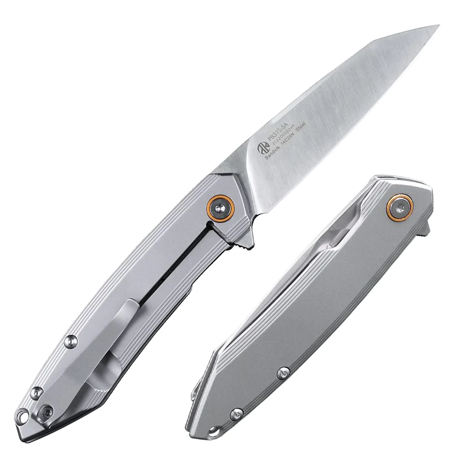 Нож складной Ruike P831S-SA