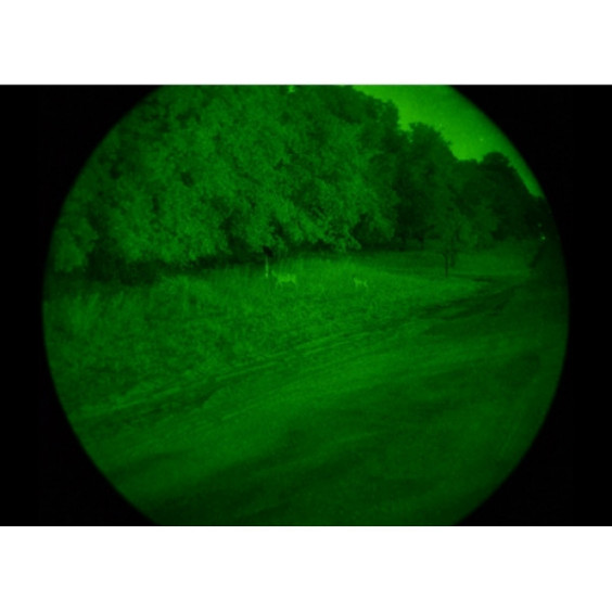 Монокуляр ночного видения PVS 14 ARMASIGHT NYX-14C Gen 3+ Alpha MG