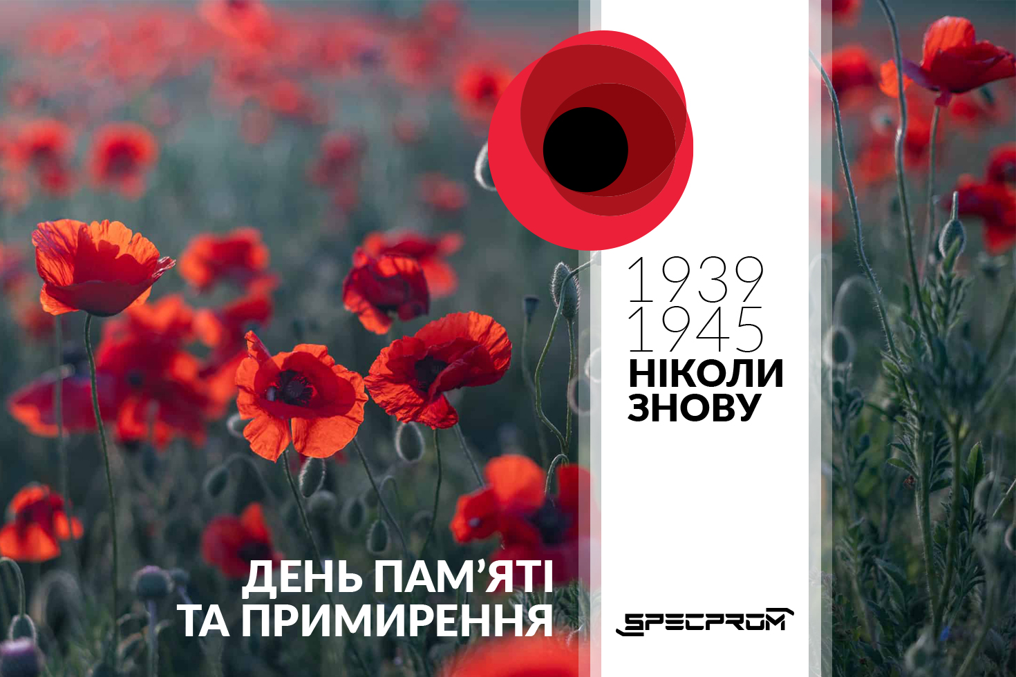 День пам’яті та примирення