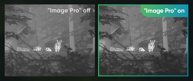 Порівняння обробки зображення з алгоритмом Image Pro та без нього